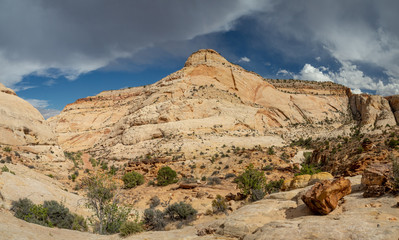 Capitol Reef National Park filled with cliffs, canyons, domes, and bridges, red rock country desert, Utah, United States
