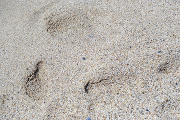 Sand texture Summer 2017. Turkey. Alanya