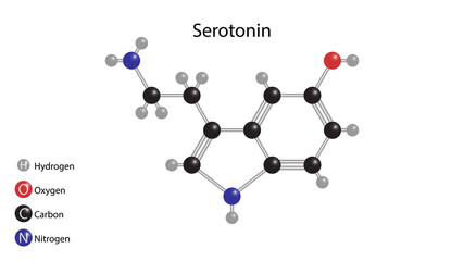 Serotonin structure. Molecular structure vector design. Serotonin vector