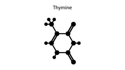 Thymine molecular structure vector design