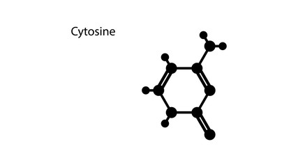 Cytosine molecular structure vector design