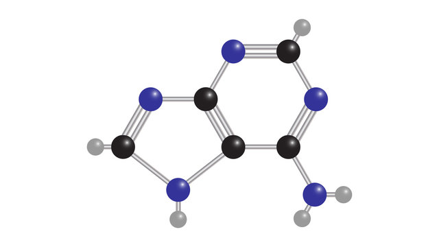 Adenine molecular structure vector design