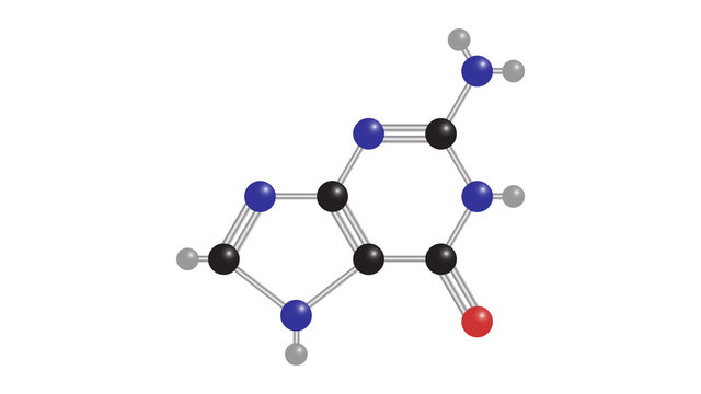 Guanine molecular structure vector design
