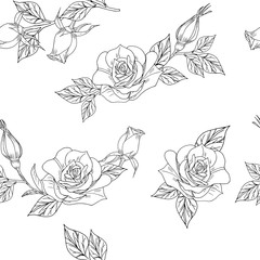 seamless pattern with hand drawn roses white and black lines