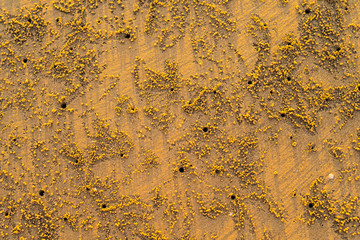 Beautiful sea mornings27