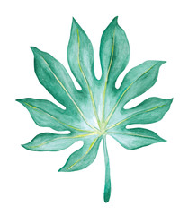 Hand-painted watercolor set. Poster with green exotic leaves