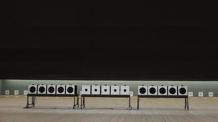 Mobile target system for air rifle shooting