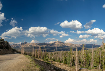 Obraz premium Uinta-Wasatch-Cache National Forest, Mirror Lake, Utah, United States, America, near Slat Lake and Park City