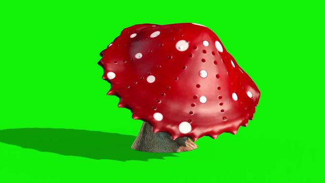 Mushroom Monster Hit it Side Green Screen 3D Rendering Animation
