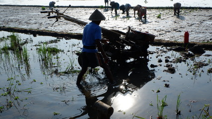 plowing activities with hand tractor engines
