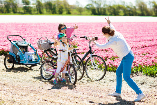 Family on bike in tulip flower fields, Holland