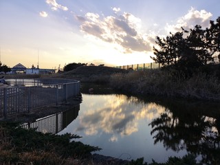 横浜埠頭の公園