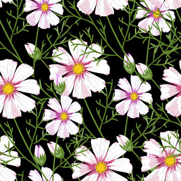 Floral pattern chammomile. Florals vector surface design. Beautiful flower on darck background