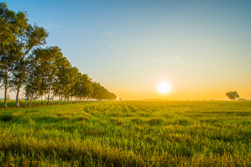 Obraz premium The atmosphere in the countryside dawn.13