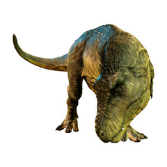 Obraz premium 3D Rendering Tyrannosaurus Rex on White
