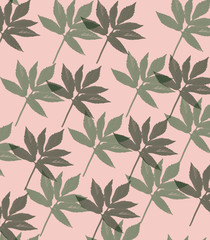 Fototapeta premium green leaves on a coral background. background image, the trend of the season .