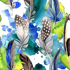 Plume d& 39 oiseau d& 39 aile isolée. Ensemble d& 39 illustrations de fond aquarelle. Motif de fond sans couture.