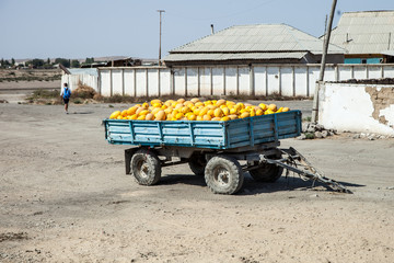 cart with melons
