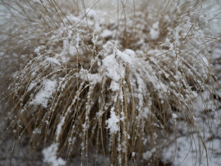 04.02.2019Celle