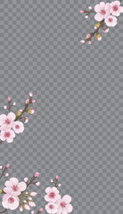 Handmade background in the Japanese style. The idea of textile design, wallpaper, packaging, printing, story. Light frame vertical of sakura flowers. Rose on transparent background.