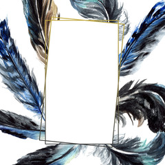 Blue black bird feather from wing isolated. Watercolor background illustration set. Frame border ornament square.