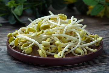 Soya sprouts, vegetarian food.