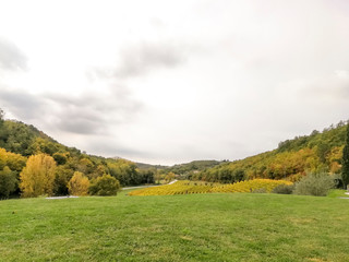 Scenic view of the freshly harvested grape fields in autumn near Buje