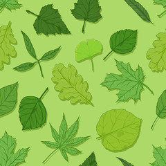 Vector Seamless Spring Pattern with Leaves on Green Background