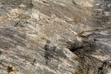 Granodiorite rock texture or background
