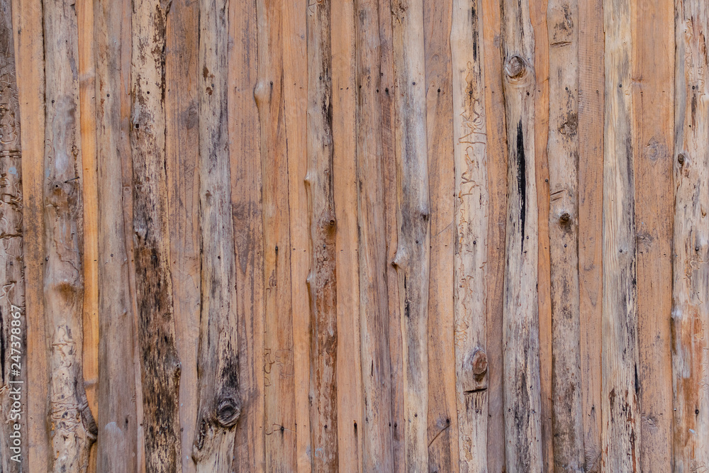 Poster Old wooden wall from tree bark nature design concept ,Wood texture background for the design backdrop in concept decorative objects.