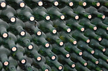 bottles in a cellar