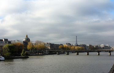 Fototapeta na wymiar Seine River, Paris
