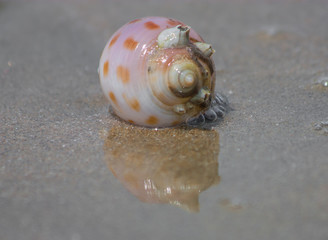  Mui Ne, Vietnam - a small fishermen village, Mui Ne is a hidden gem of the South Coast, and its beaches are fulfilled with fishes and sealife