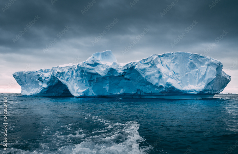 Wall mural big massive iceberg floating among the frozen ocean. antarctica epic scenery in blue and grey tints.