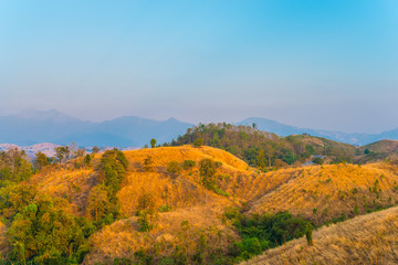 The sun and the colors of nature 46