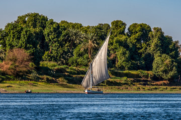 12.11.2018 Aswan, Egypt, A boat felucca sailing along the river nil on a sunny day against a shore...