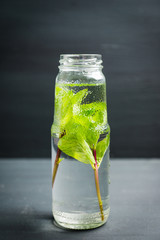 Mint detox drink in small bottle. Selective focus. 