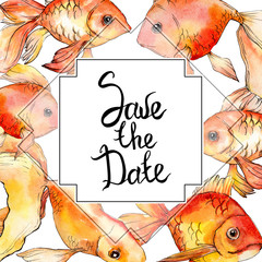 Watercolor aquatic underwater colorful tropical fish background illustration set. Frame border...