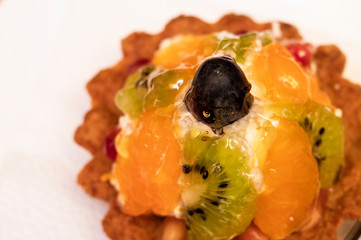 delicious cake on a saucer