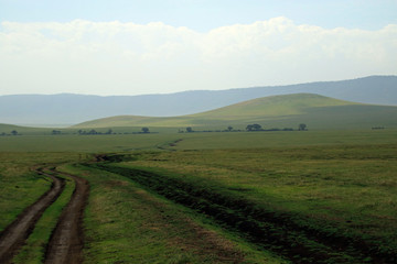 Fototapeta premium Ngorongoro Conservation Area, Tanzania 