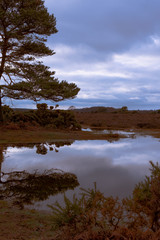 Stormy clouds over lake and trees in New Forest countryside