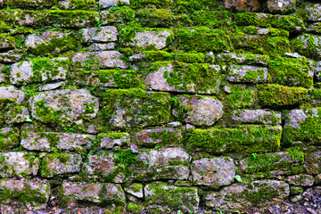 Texture. Old stone with moss