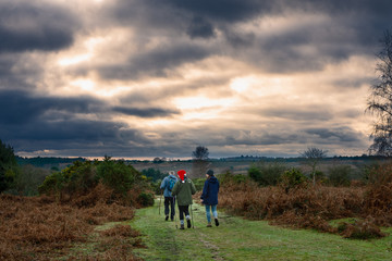 Obraz premium Stormy clouds over New Forest countryside