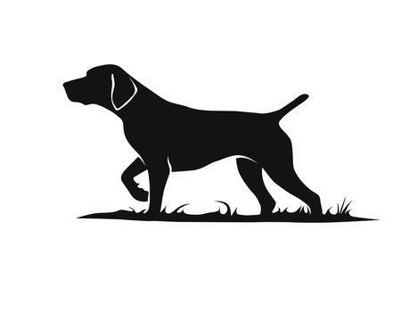 Vorstehhund - Deutsch Kurzhaar - Silhouette