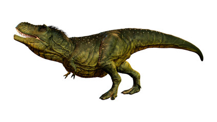 3D Rendering Tyrannosaurus Rex on White