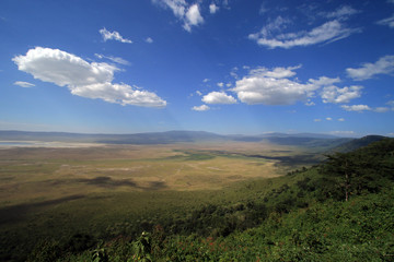 Fototapeta na wymiar View of the crater, Ngorongoro Conservation Area, Tanzania 