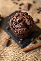 tasty chocolate muffin