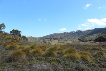 Fototapeta na wymiar Cradle Mountain National Park - Tasmania