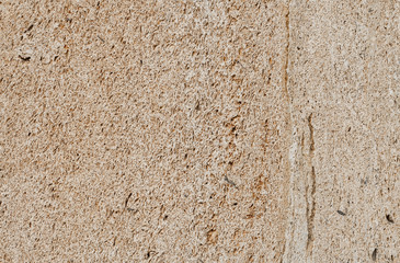 Coquina wall texture. a high resolution. wall in the holes.