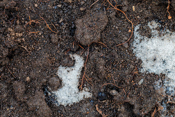 Dark black soil texture and background. loose earth.